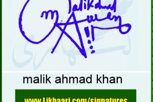 malik ahmad Awan Signature Styles