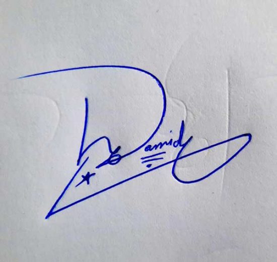 Hamid Signature Styles - Signature Ideas
